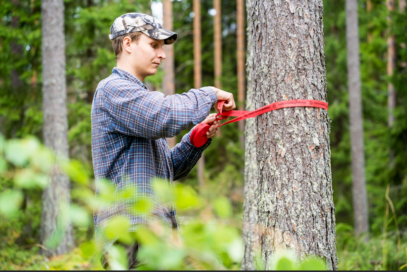 Miten teen ensimmäisen puukauppani?