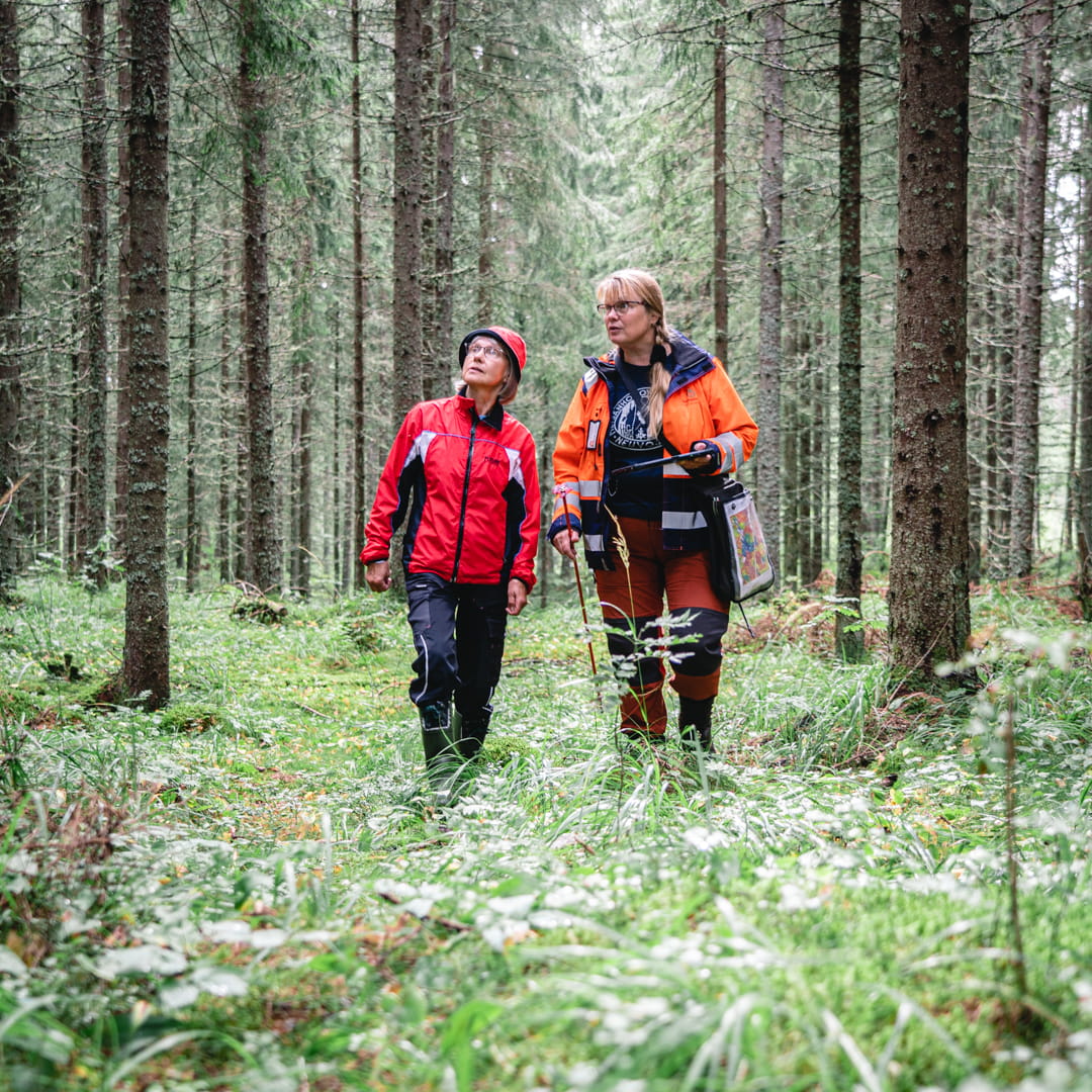 Metsänomistaja. Sinä olet meille tärkein. 