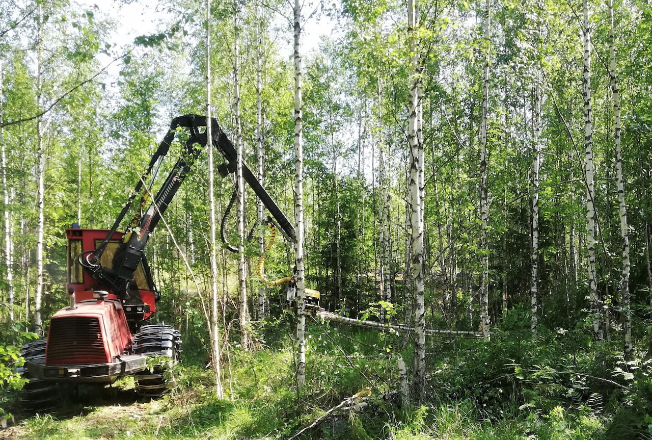 Puun hinnat Päijät-Hämeessä syyskuussa 2024